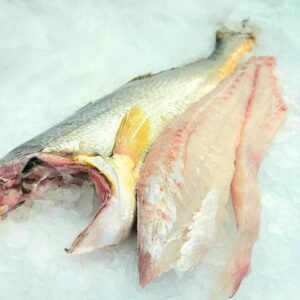 Corvina de Cultivo Nacional