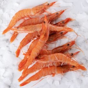 Gamba Roja gorda