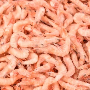 Gamba Arrocera