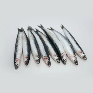 Boquerón Gordo Nacional