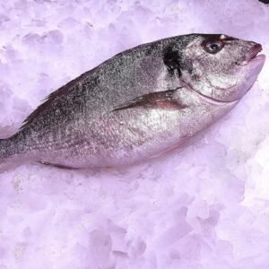 Dorada de Cultivo Nacional