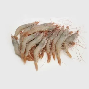 Gambas Blancas Gordas