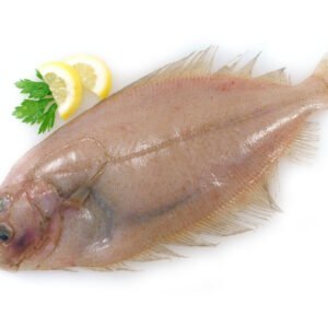 Gallo de Ración Nacional