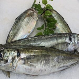 Chicharros o Jureles