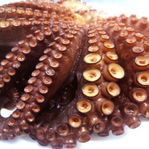 Pulpo Cocido
